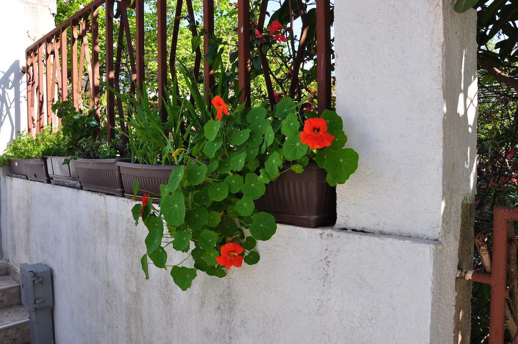Guest House Marojevic Igalo Ngoại thất bức ảnh